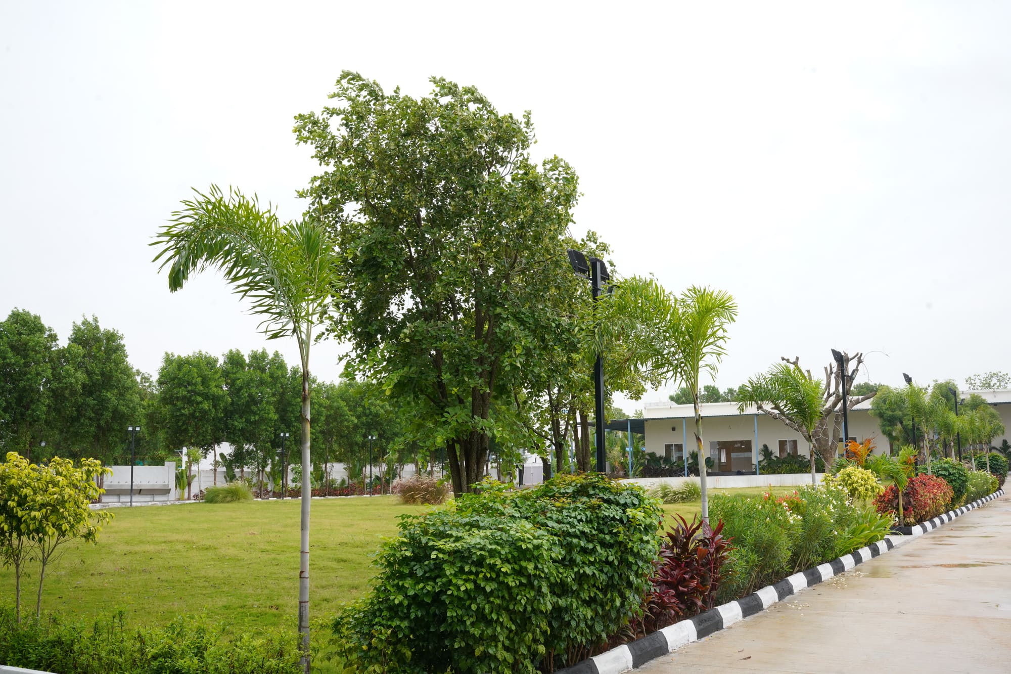 DSC02109_1.jpg